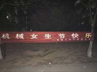 让荧光装点夜空